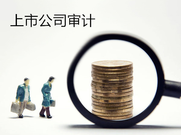 上市公司審計(jì).jpg